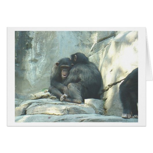 Huggin Chmps Cards (Front Horizontal)