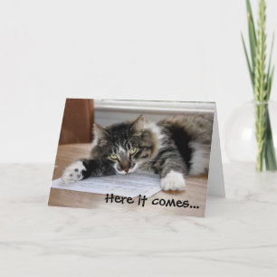 Hugging Cat Father's Day Card