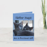Hugging Cats Birthday Cards For Sisters<br><div class="desc">These are my two of my kitties who are sisters. Caught them in a cuddling embrace that says it all. Nice birthday card for sisters or someone who is like a sister to you.</div>