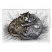 Hugging Cats Sleeping (Front Horizontal)