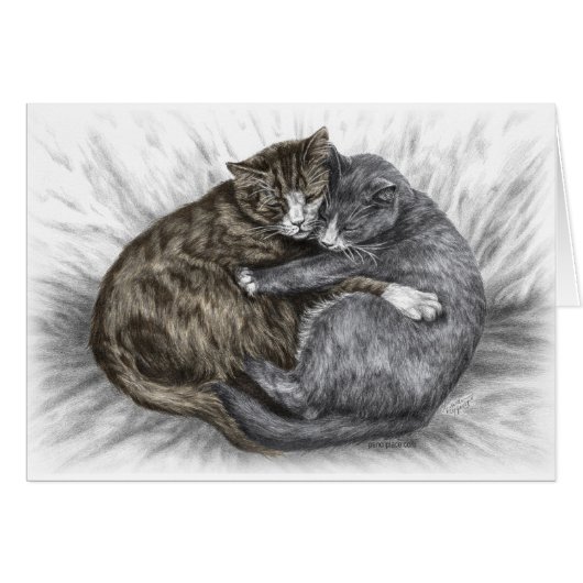 Hugging Cats Sleeping (Front Horizontal)