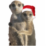 Hugging meerkats Ornament<br><div class="desc">A photo sculpture ornament - for a meery Christmas!
Oriole and Sabota Whiskers hugging.
Photo by Jane Dickson.
20% of each ornament sold will go to the FKMP, supporting meerkat research at the Kalahari Meerkat Project.</div>