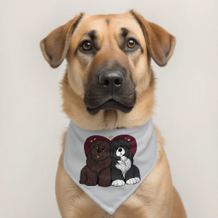 Hugging Newfoundland Dog Puppies Pet Bandana Collar