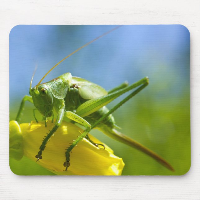 HUGO MOUSE PAD (Front)