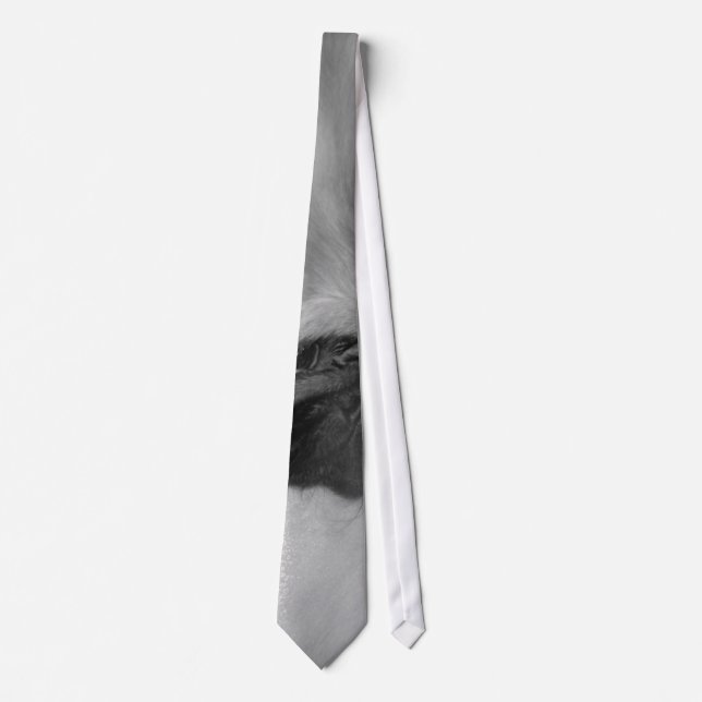 Hugo's Collection Tie (Front)