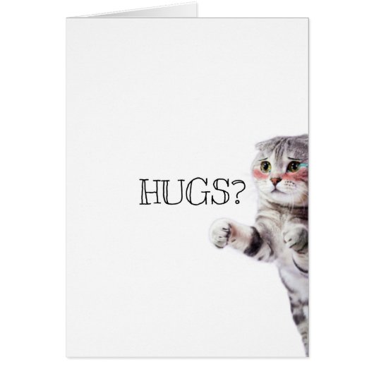 HUGS? Kitten Cards (Front)