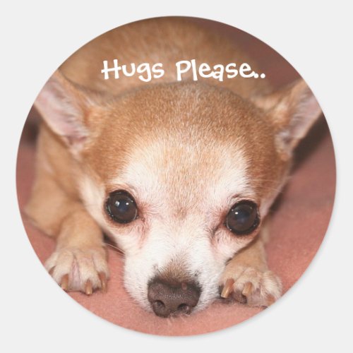 Hugs Please Classic Round Sticker