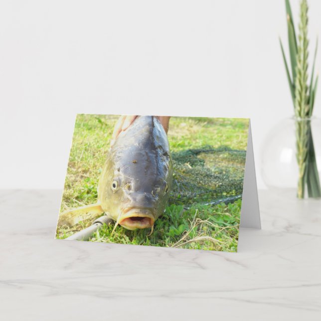 Huh? - Carp Close up Card (Front)