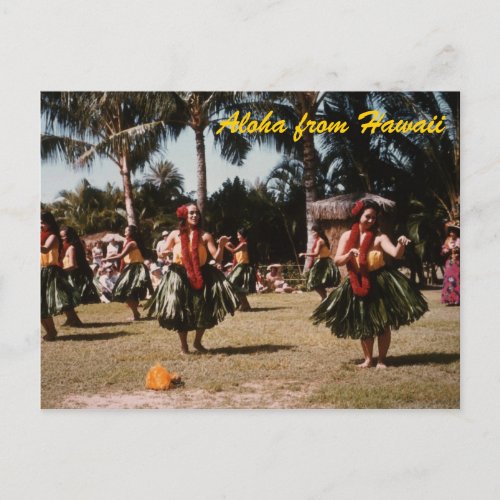 Hula Girls Postcard