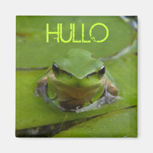 HULLO MAGNET