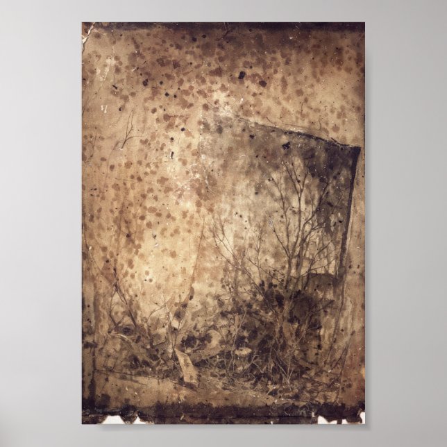 Hulroy Wilds Poster (Front)