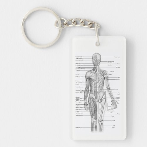 Human Anatomy AP101 Educational Diagram Keychain