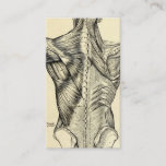 Human Anatomy Art Back Muscles (circa 1890) Business Card at Zazzle