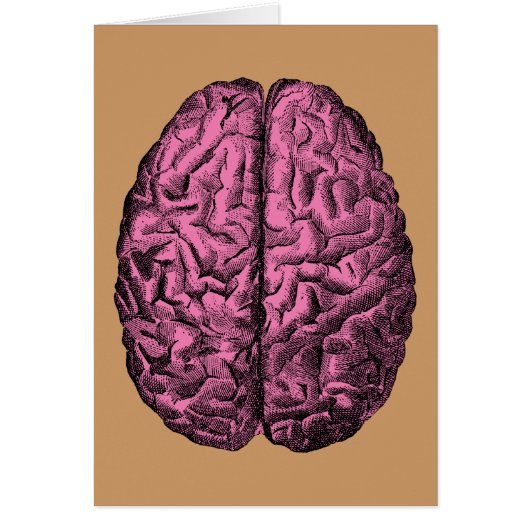 Human Anatomy Brain Cards (Front)