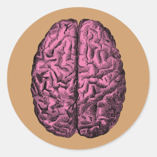 Human Anatomy Brain Classic Round Sticker