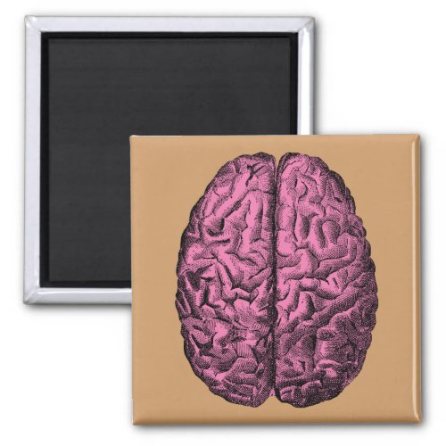 Human Anatomy Brain Magnet
