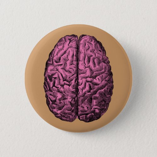 Human Anatomy Brain Pinback Button