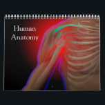 Human Anatomy Calendar<br><div class="desc">Artistic views of human anatomy.</div>