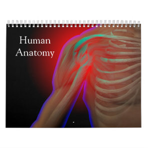 Human Anatomy Calendar