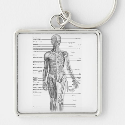 Human Anatomy Chart Keychain