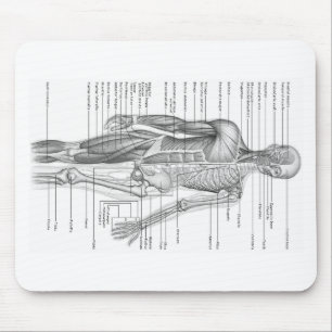 Human Anatomy Chart Mouse Pad