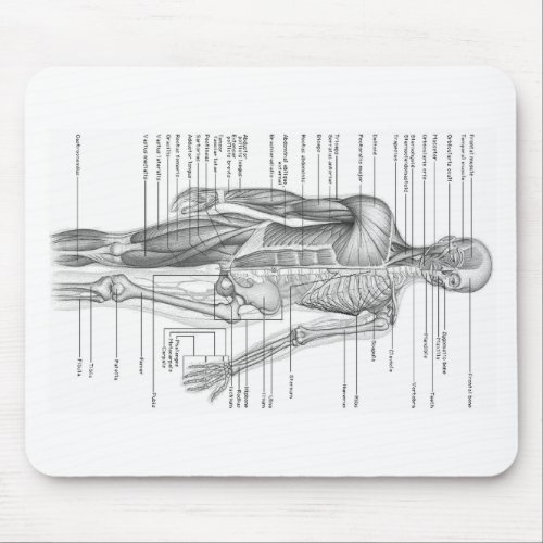 Human Anatomy Chart Mouse Pad