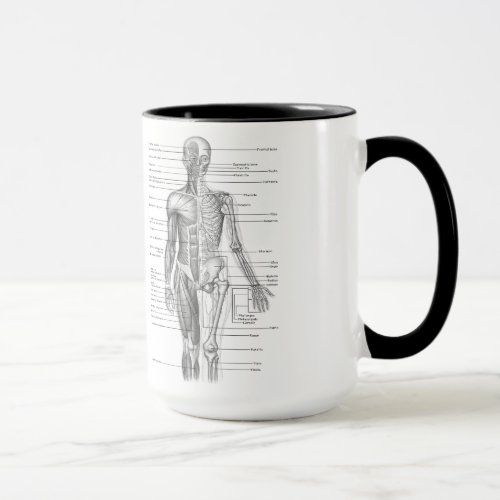 Human Anatomy Chart Mug