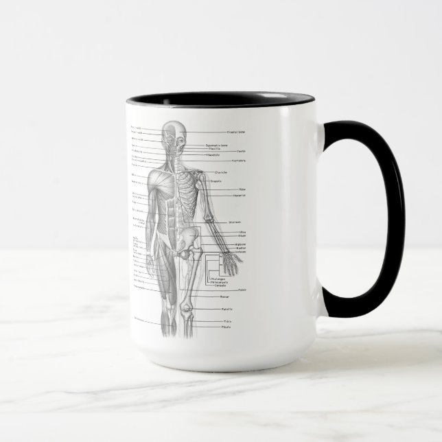 Human Anatomy Chart Mug (Right)
