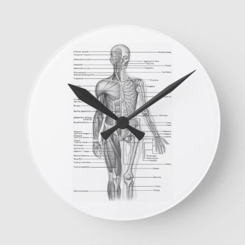 Human Anatomy Chart Round Clock