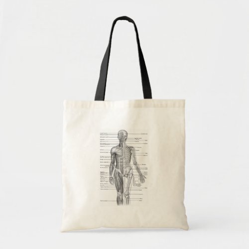 Human Anatomy Chart Tote Bag