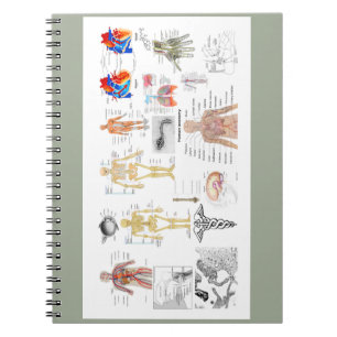 Human Anatomy Charts Notebook