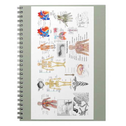 Human Anatomy Charts Notebook