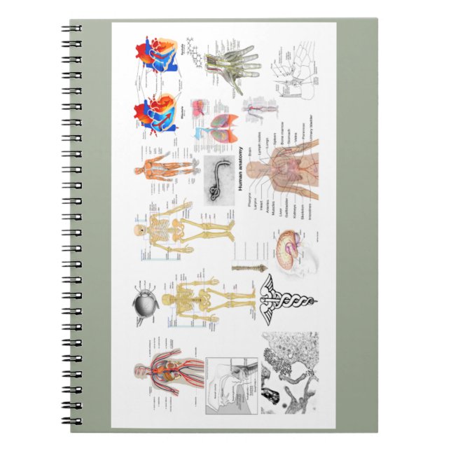 Human Anatomy Charts Notebook (Front)