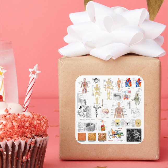 Human Anatomy Charts Square Sticker (Party)