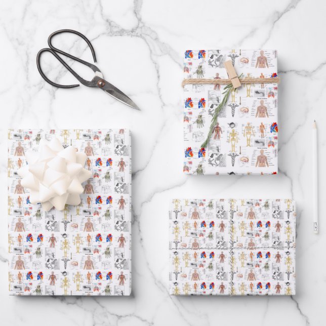 Human Anatomy Charts Wrapping Paper Sheets (Front)