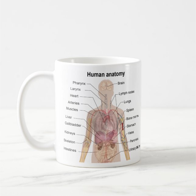 Human Anatomy Coffee Mug (Left)