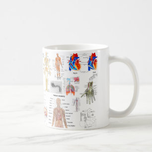 Human Anatomy Diagrams Coffee Mug