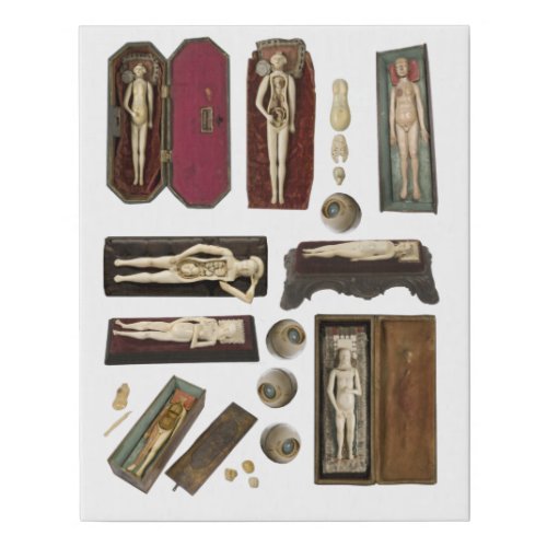 human anatomy dolls body parts collage sheet faux canvas print