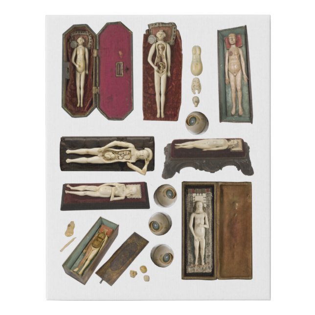 human anatomy dolls body parts collage sheet faux canvas print (Front)