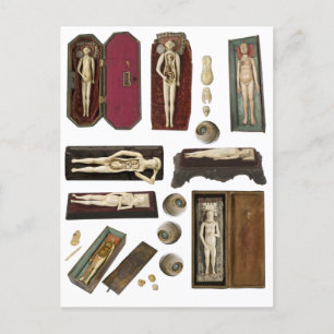 human anatomy dolls body parts collage sheet  postcard