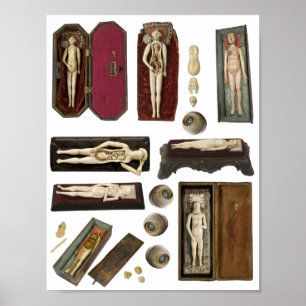human anatomy dolls body parts collage sheet poster