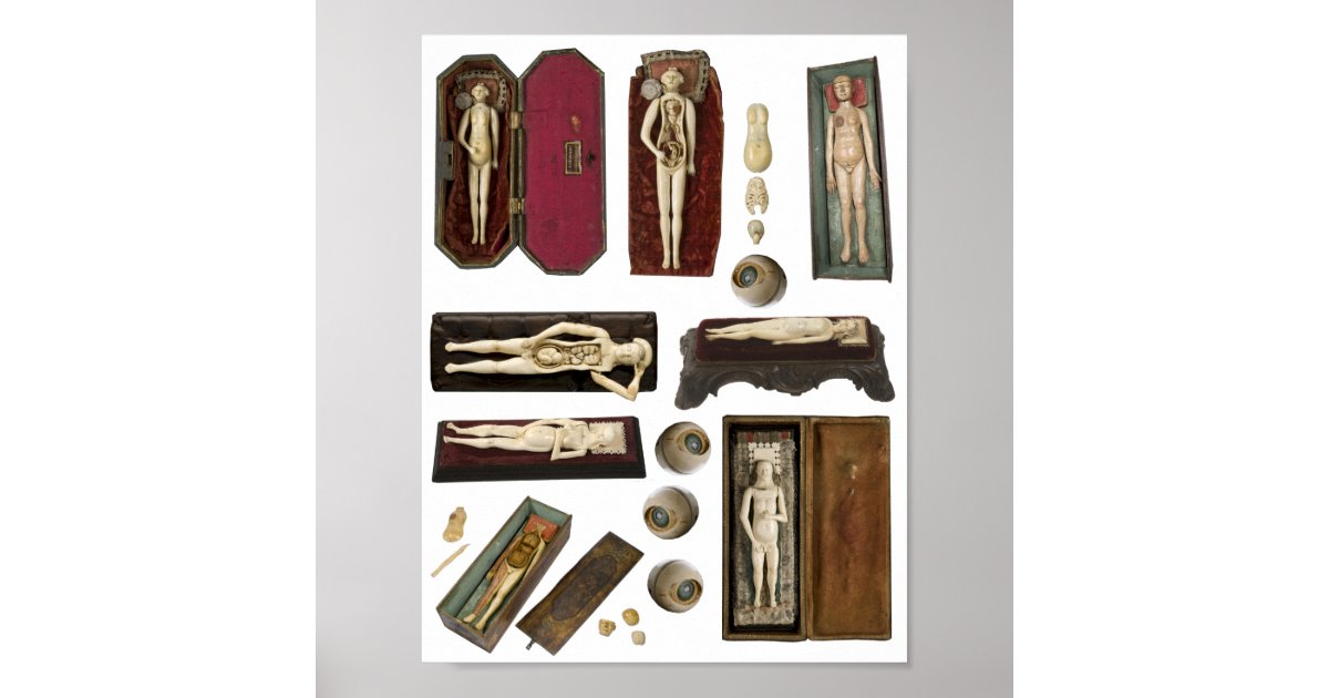 human anatomy dolls body parts collage sheet poster | Zazzle