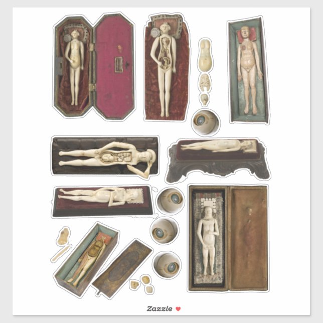 human anatomy dolls body parts collage sheet sticker (Sheet)