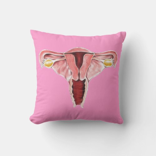 Human Anatomy Female Reproductive System pillow