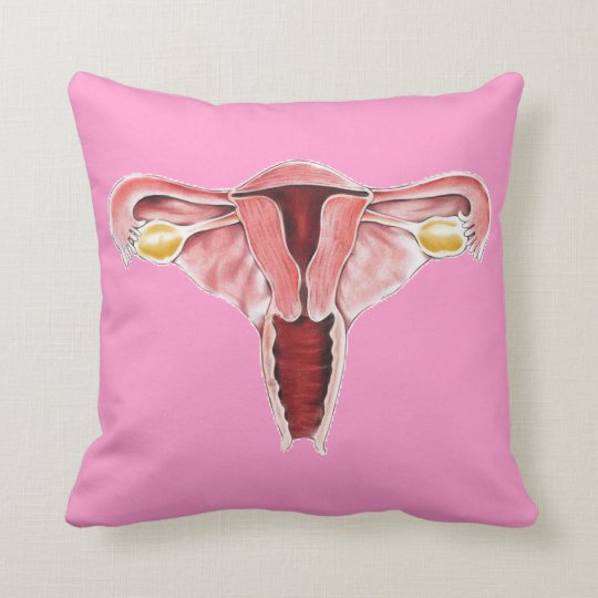 Human Anatomy Female Reproductive System pillow | Zazzle.com