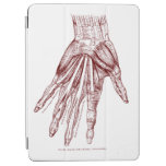 Human Anatomy Hand Muscles Red Ipad Air Cover at Zazzle