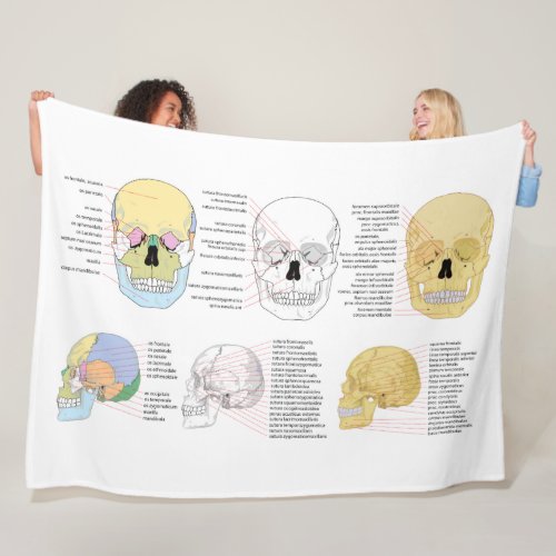 Human Anatomy Human Skull illustrated blanket