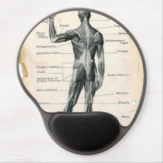 Human Anatomy Illustrations Gel Mouse Pad