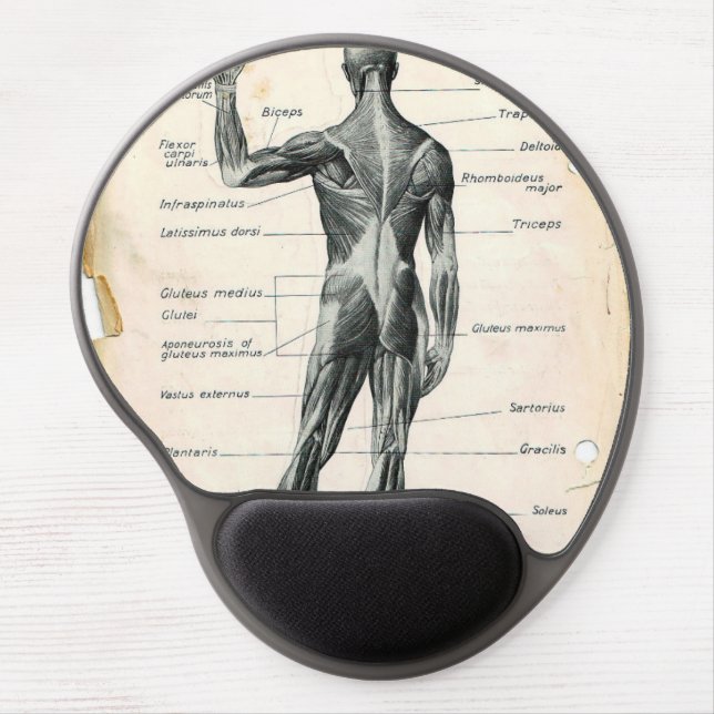 Human Anatomy Illustrations Gel Mouse Pad (Front)