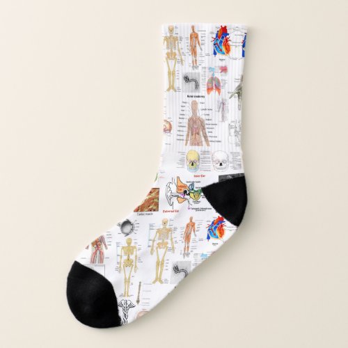 Human Anatomy Medical Chart Socks